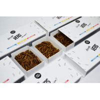 Insectes comestibles - Kit découverte vers - pour les professionnels - La Cerise sur l'Apéro