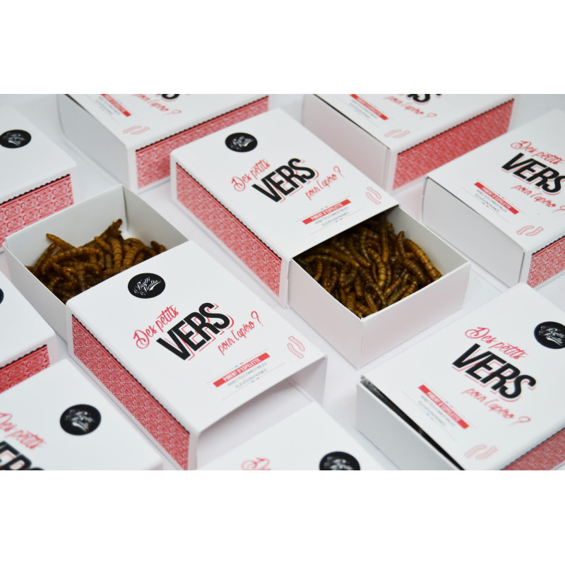 Insectes comestibles - Vers au Piment d'Espelette - La Cerise sur l'Apéro Insectes comestibles - Vers au Piment d'Espelette - La Cerise sur l'Apéro