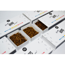 Insectes comestibles - Box Vers 3 saveurs - La Cerise sur l'Apéro
