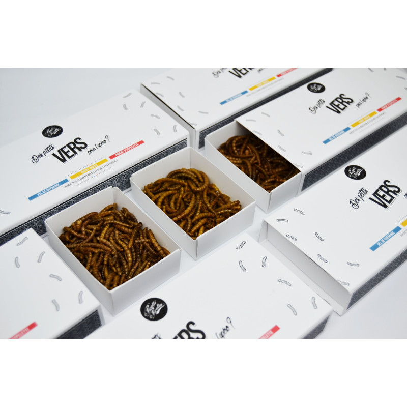 Insectes comestibles - Box Vers 3 saveurs - La Cerise sur l'Apéro Insectes comestibles - Box Vers 3 saveurs - La Cerise sur l'Apéro