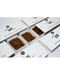 Insectes comestibles - Box Vers 3 saveurs - La Cerise sur l'Apéro