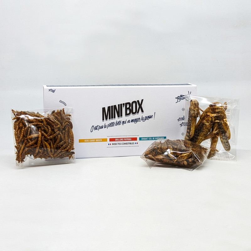 Insectes comestibles - Mix Box 3 Insectes - La Cerise sur l'Apéro Insectes comestibles - Mix Box 3 Insectes - La Cerise sur l'Apéro