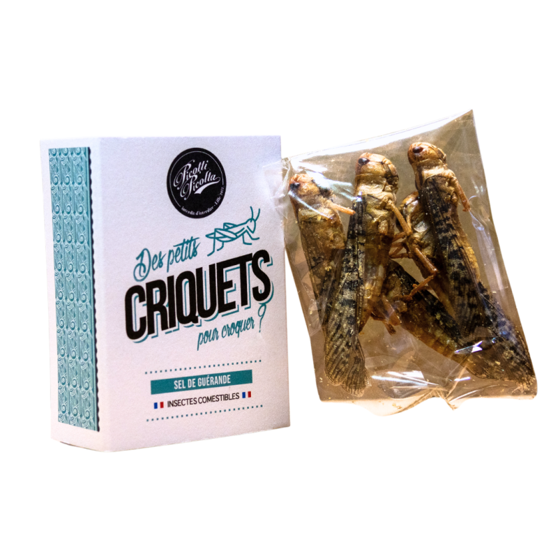 Insectes comestibles - Criquets au Sel de Guérande | Insectes pour ... Insectes comestibles - Criquets au Sel de Guérande | Insectes pour ...