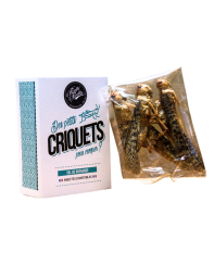 Insectes comestibles - Criquets au Sel de Guérande | Insectes pour ...