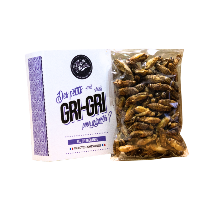 Insectes comestibles - Gri-Gri au Sel de Guérande | Insectes comest... Insectes comestibles - Gri-Gri au Sel de Guérande | Insectes comest...